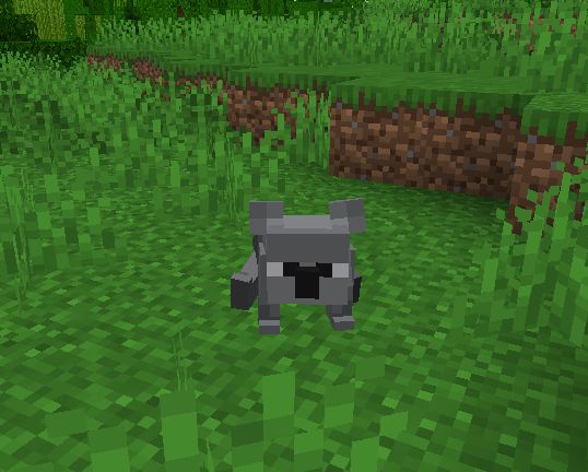 attachment.png