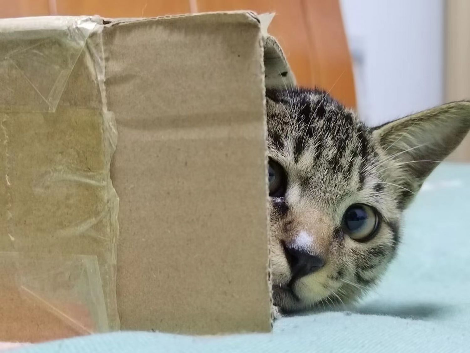 attachment.jpg